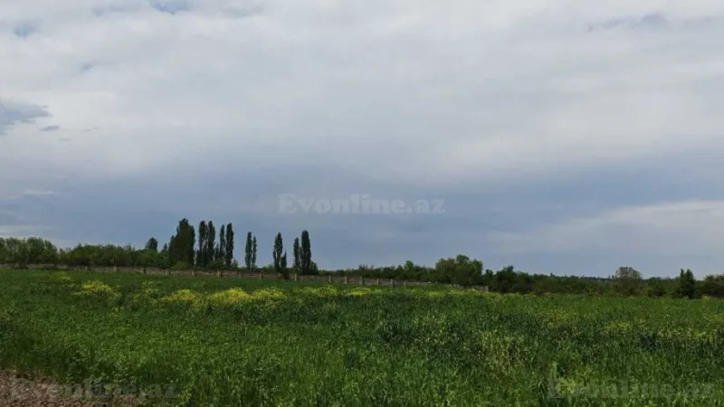 Satılır Torpaq 46 sot Quba - şəkil 12