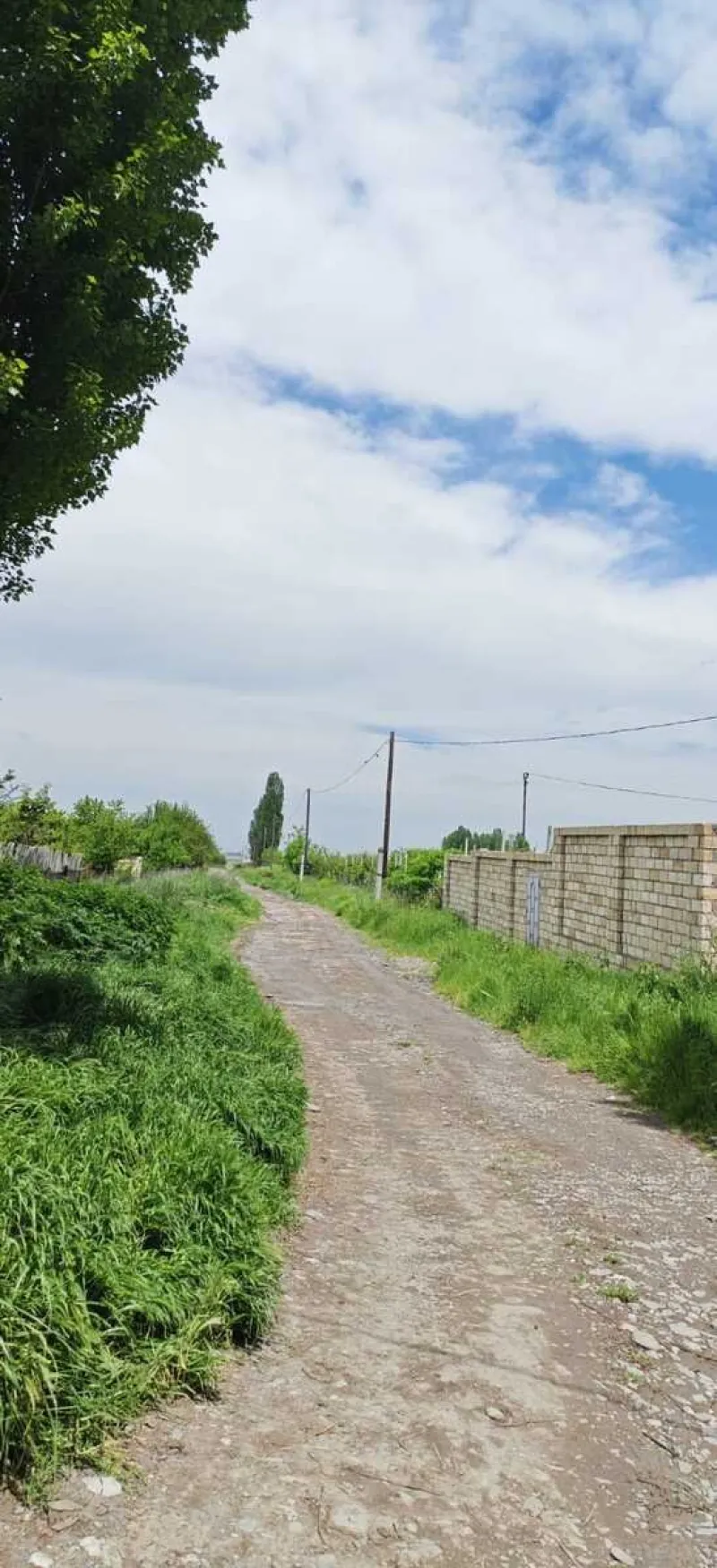 Satılır Torpaq 46 sot Quba - şəkil 14
