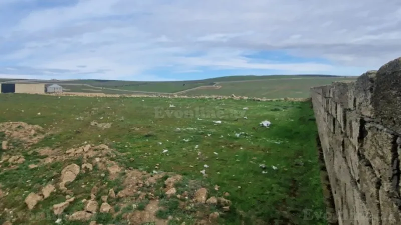 Satılır Torpaq 20 sot Novxanı