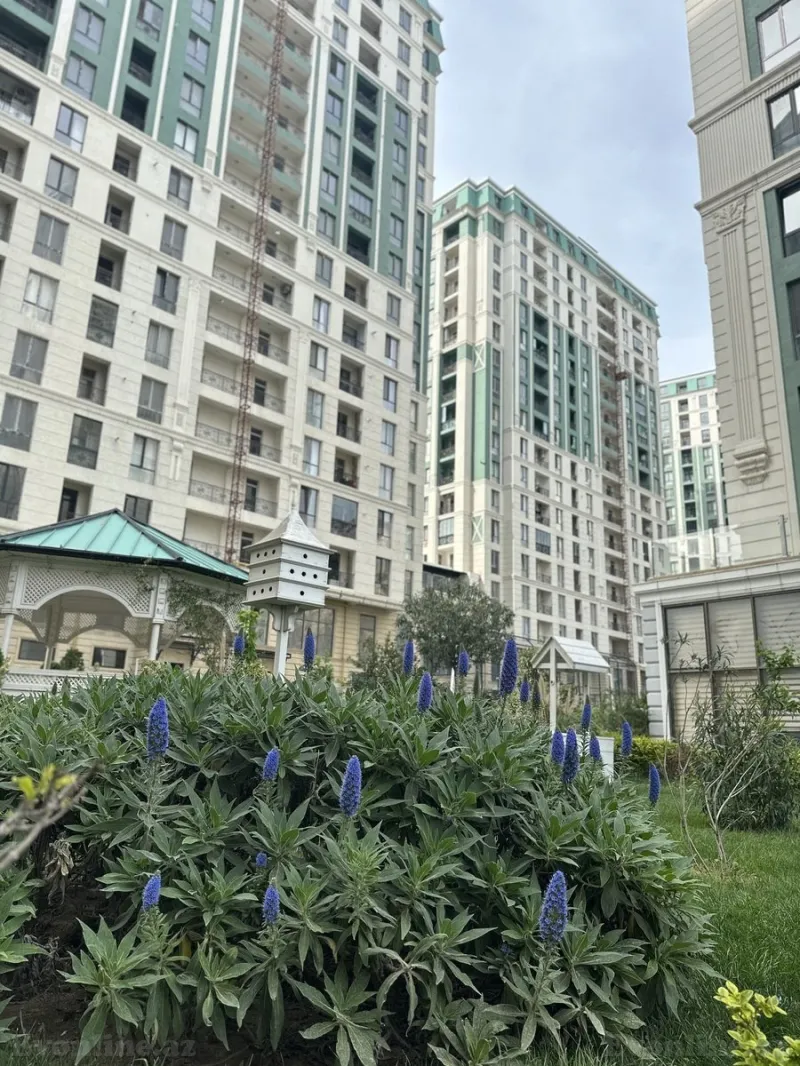 Satılır 3 otaqlı Mənzil Yeni tikili 120.6 m² Gənclik m. - şəkil 3