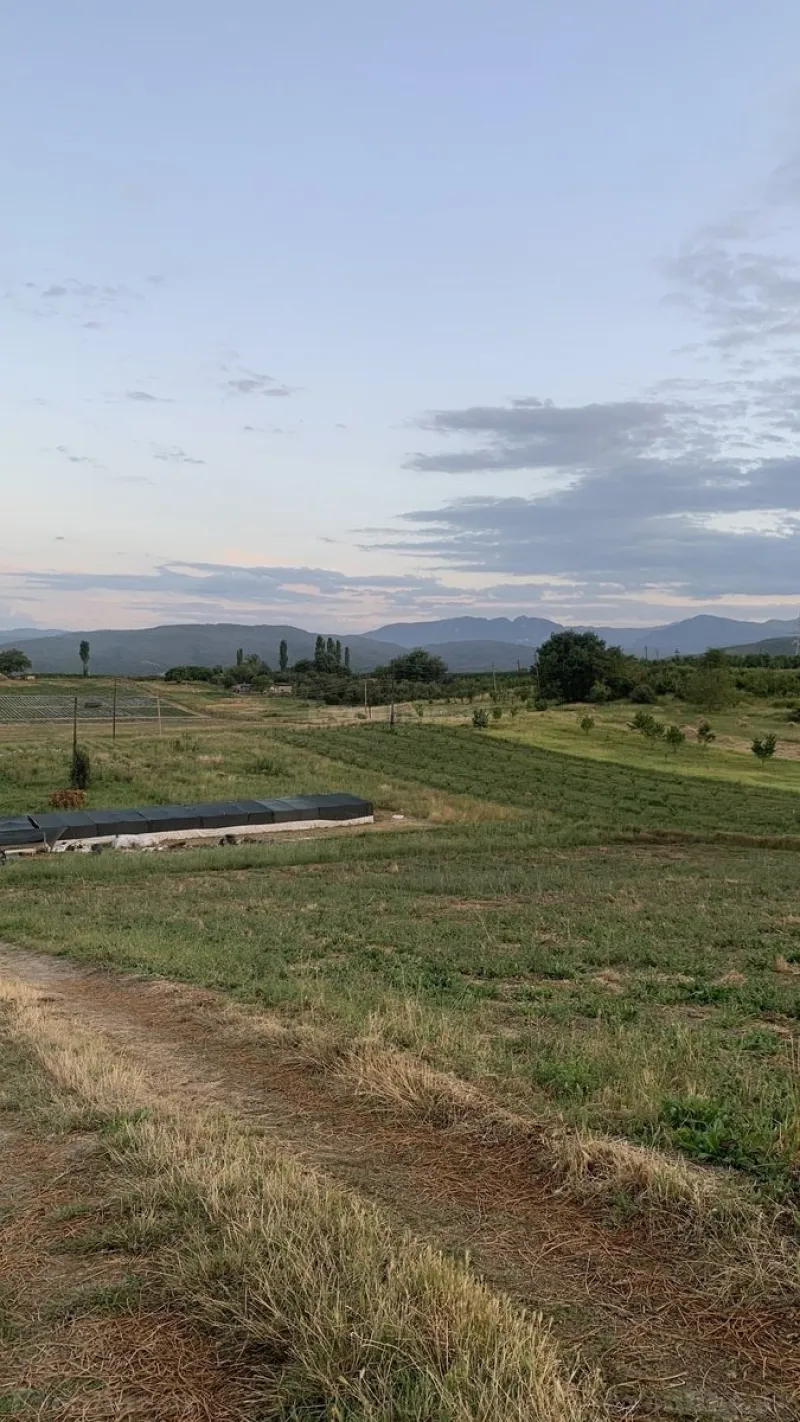 Torpaq Quba Satılır