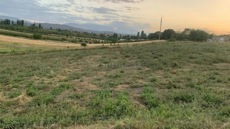 Satılır Torpaq 100 sot Quba - şəkil 2