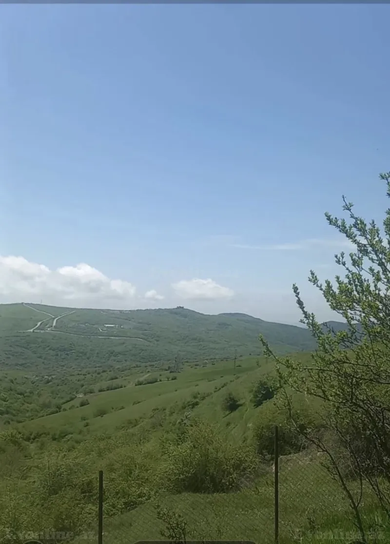 Satılır Torpaq 50 sot Şamaxı - şəkil 2