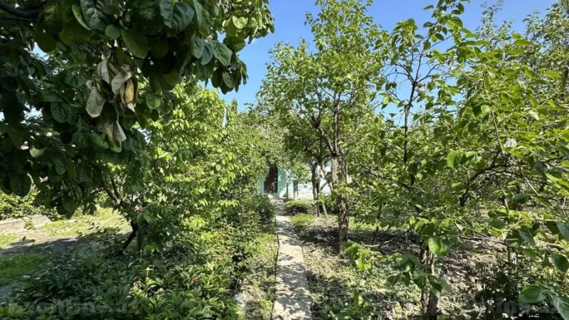 Satılır Torpaq 18 sot Göyçay