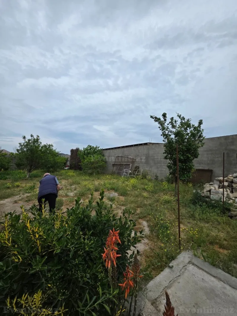 Satılır Torpaq 5.5 sot Qala - şəkil 5