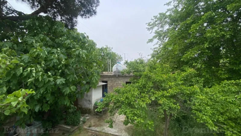 Satılır Obyekt 1000 m² Maştağa - şəkil 6