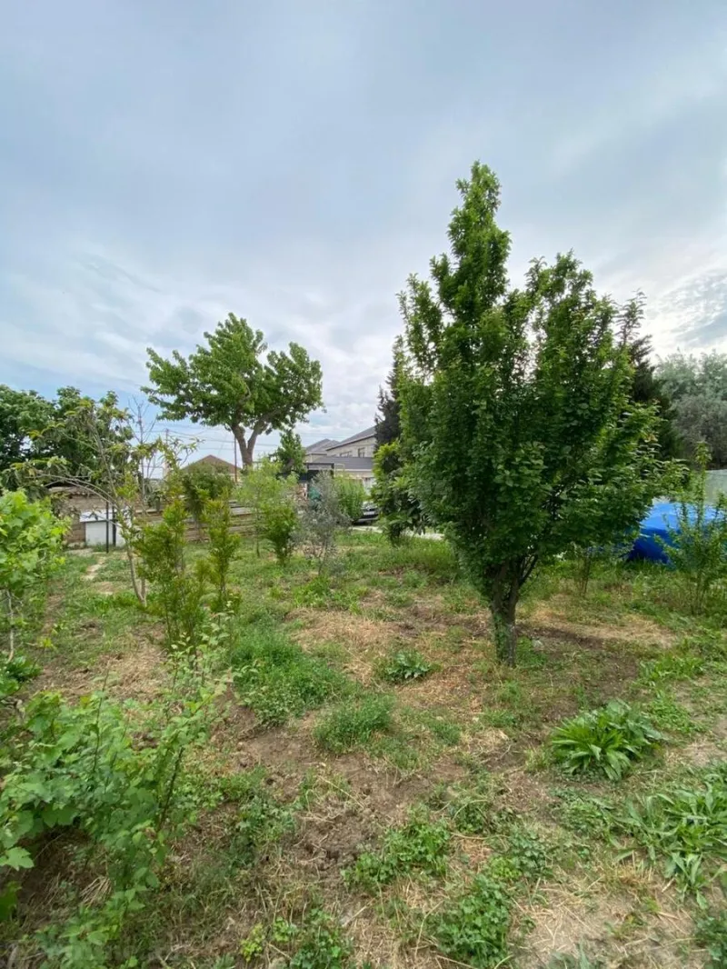 Satılır Torpaq 13.5 sot Qala - şəkil 8