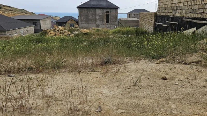 Torpaq Badamdar Satılır