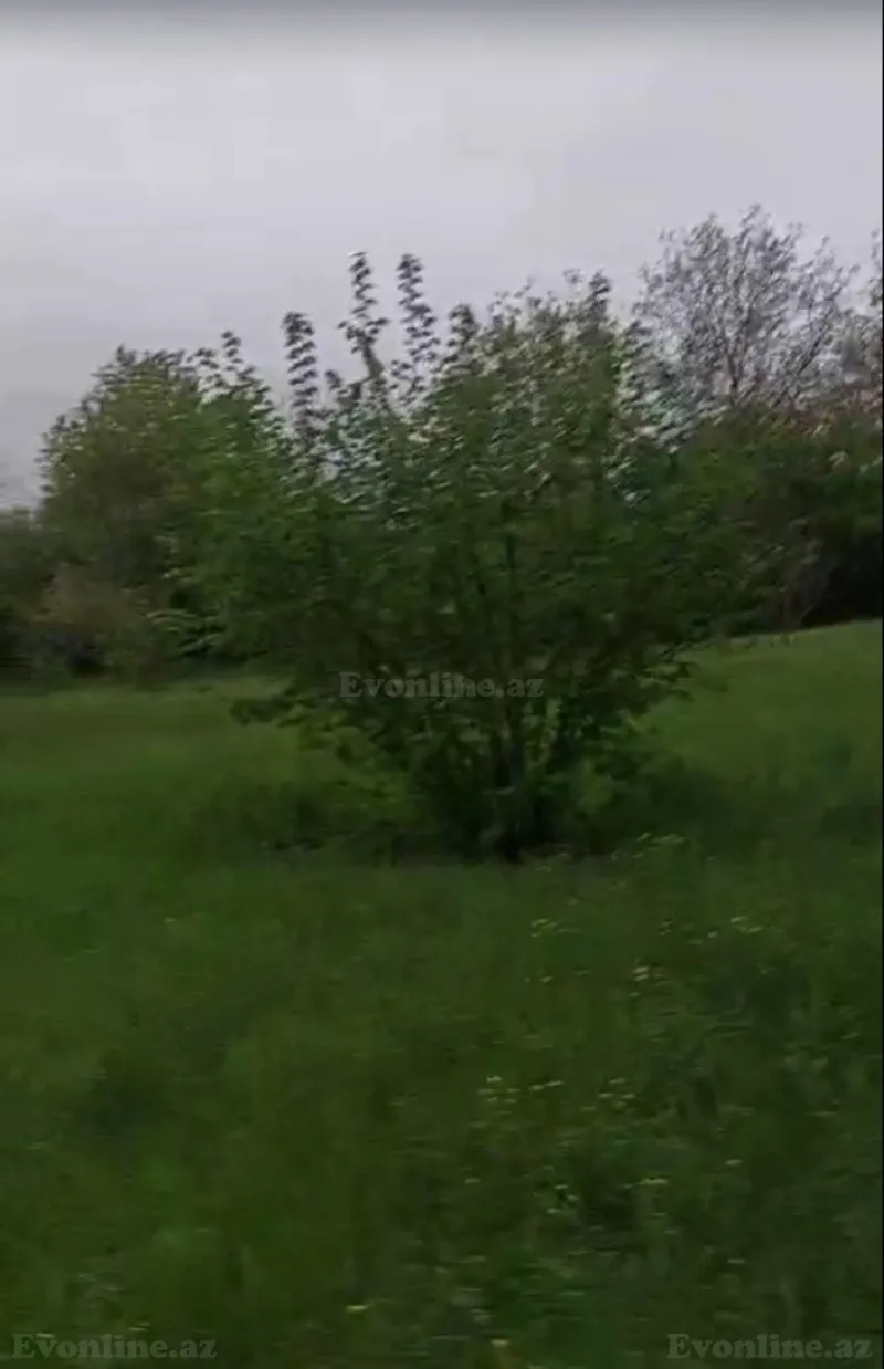 Satılır Torpaq 25 sot İsmayıllı