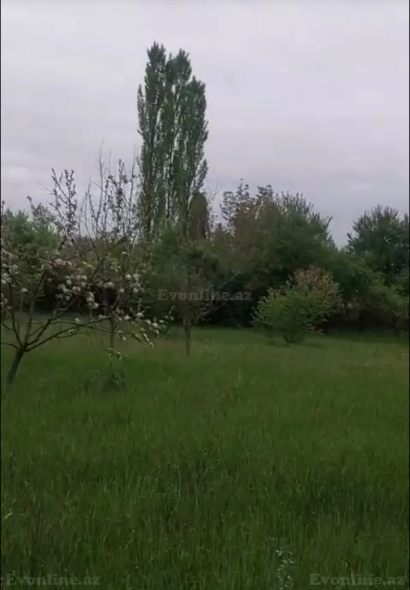 Satılır Torpaq 25 sot İsmayıllı - şəkil 3