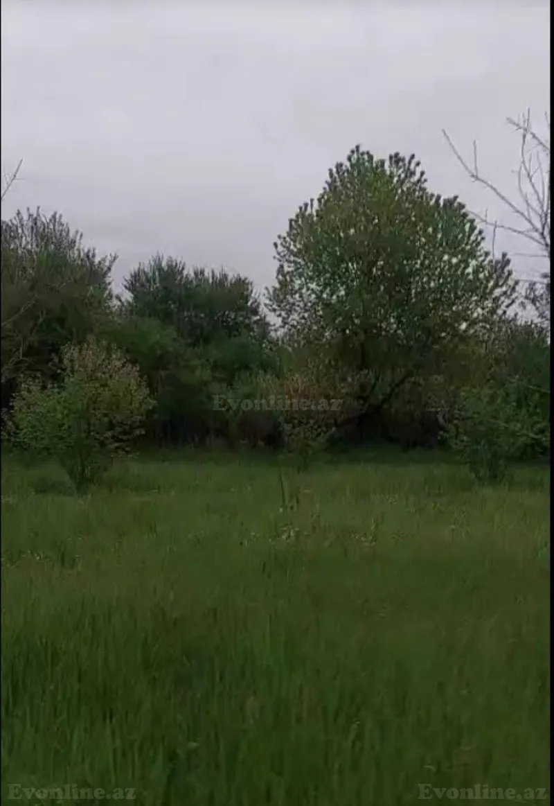 Satılır Torpaq 25 sot İsmayıllı - şəkil 4