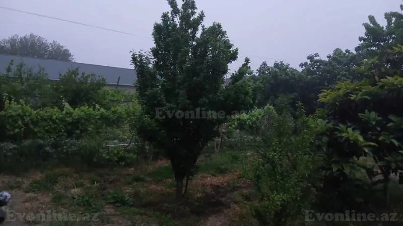 Torpaq Qala Satılır