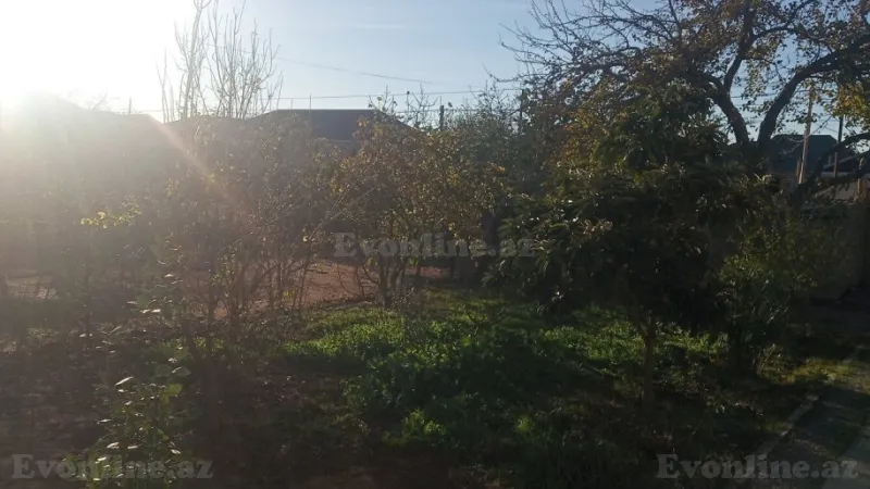 Satılır Torpaq 4 sot Qala - şəkil 2