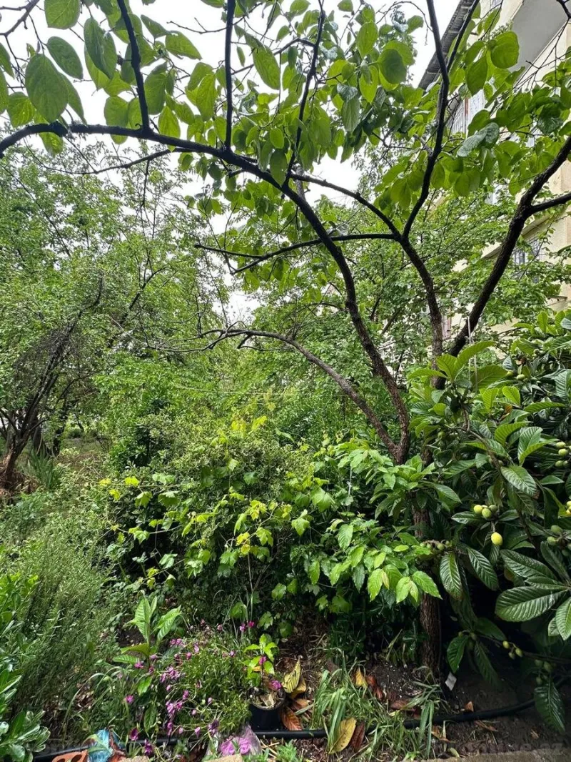 Satılır 4 otaqlı Mənzil Köhnə tikili 80 m² Xalqlar Dostluğu m. - şəkil 2