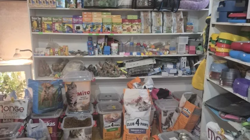 Satılır Obyekt 50 m² Bayıl - şəkil 7