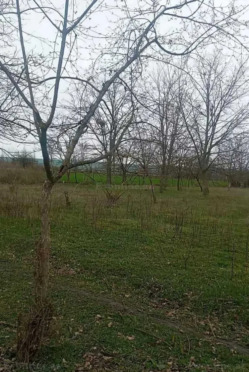 Torpaq Qəbələ Satılır