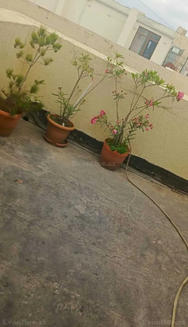 Kirayə verilir 1 otaqlı Mənzil Yeni tikili 30 m² Elmlər Akademiyası m. - şəkil 8