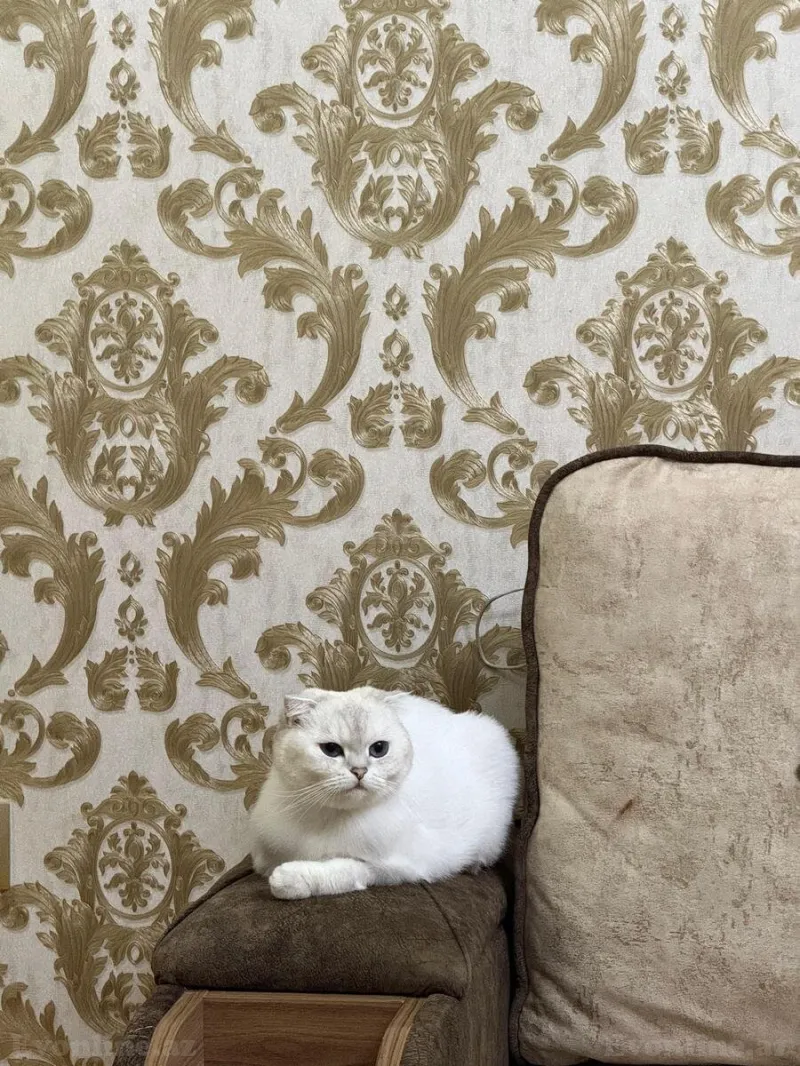 Satılır 3 otaqlı Mənzil Yeni tikili 96 m² Əhmədli - şəkil 5