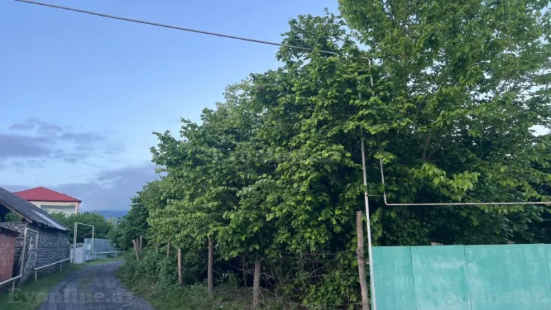 Satılır Torpaq 14 sot Zaqatala
