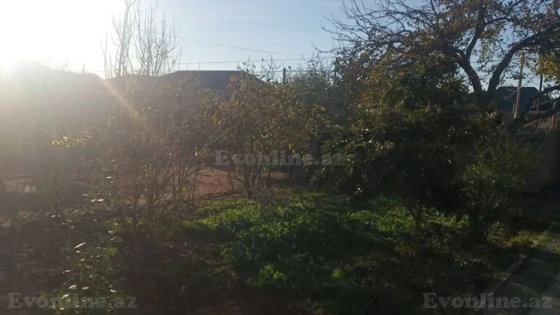 Satılır Torpaq 4 sot Qala - şəkil 2