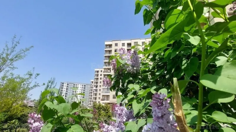 Satılır 3 otaqlı Mənzil Yeni tikili 126 m² Abşeron r. - şəkil 27