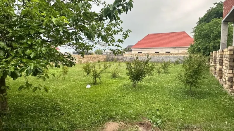 Torpaq Novxanı Satılır