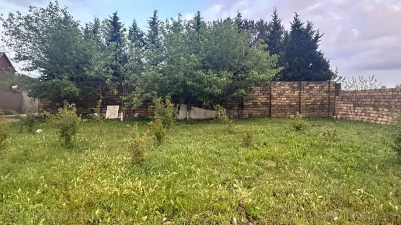 Satılır Torpaq 10 sot Novxanı - şəkil 4