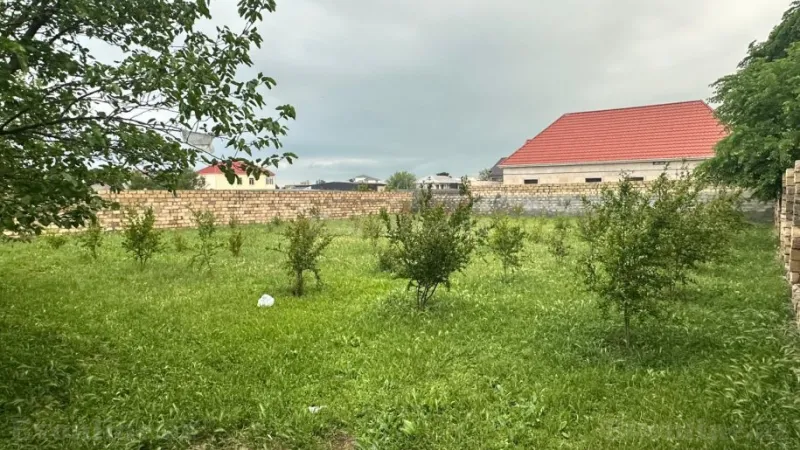 Satılır Torpaq 10 sot Novxanı - şəkil 5