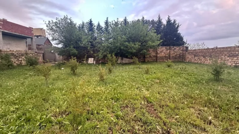 Satılır Torpaq 10 sot Novxanı - şəkil 7
