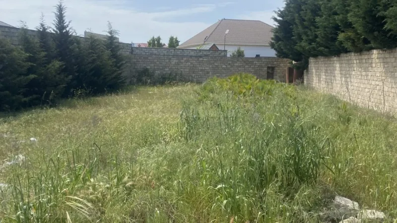 Torpaq Şüvəlan Satılır