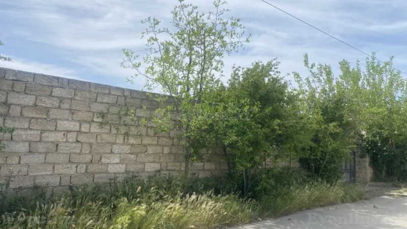 Satılır Torpaq 7 sot Şüvəlan - şəkil 3