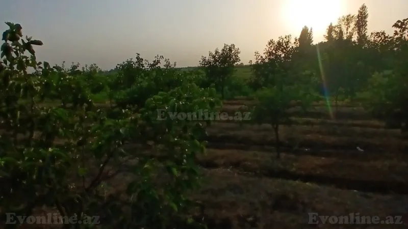 Satılır Torpaq 149 sot Bərdə - şəkil 20