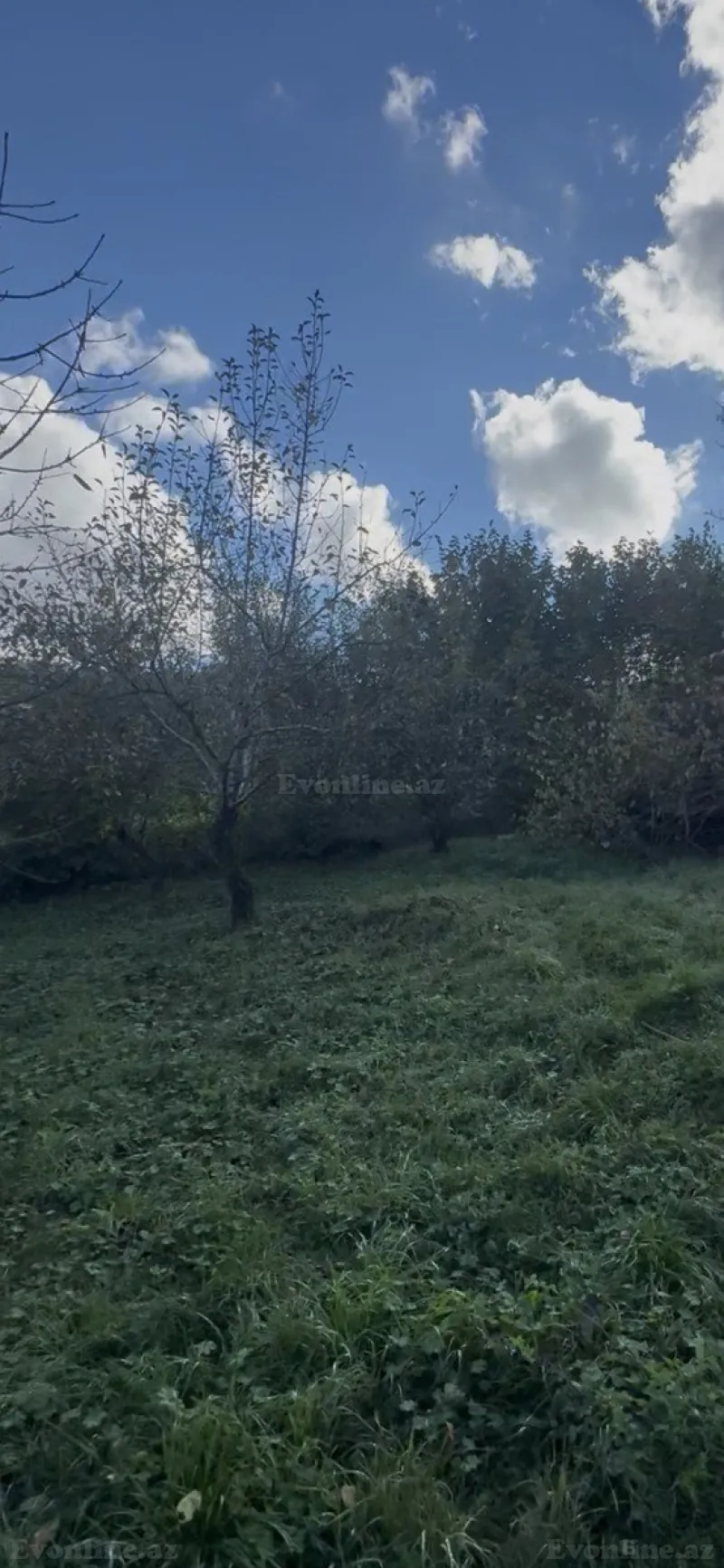 Satılır Torpaq 6 sot Quba - şəkil 2