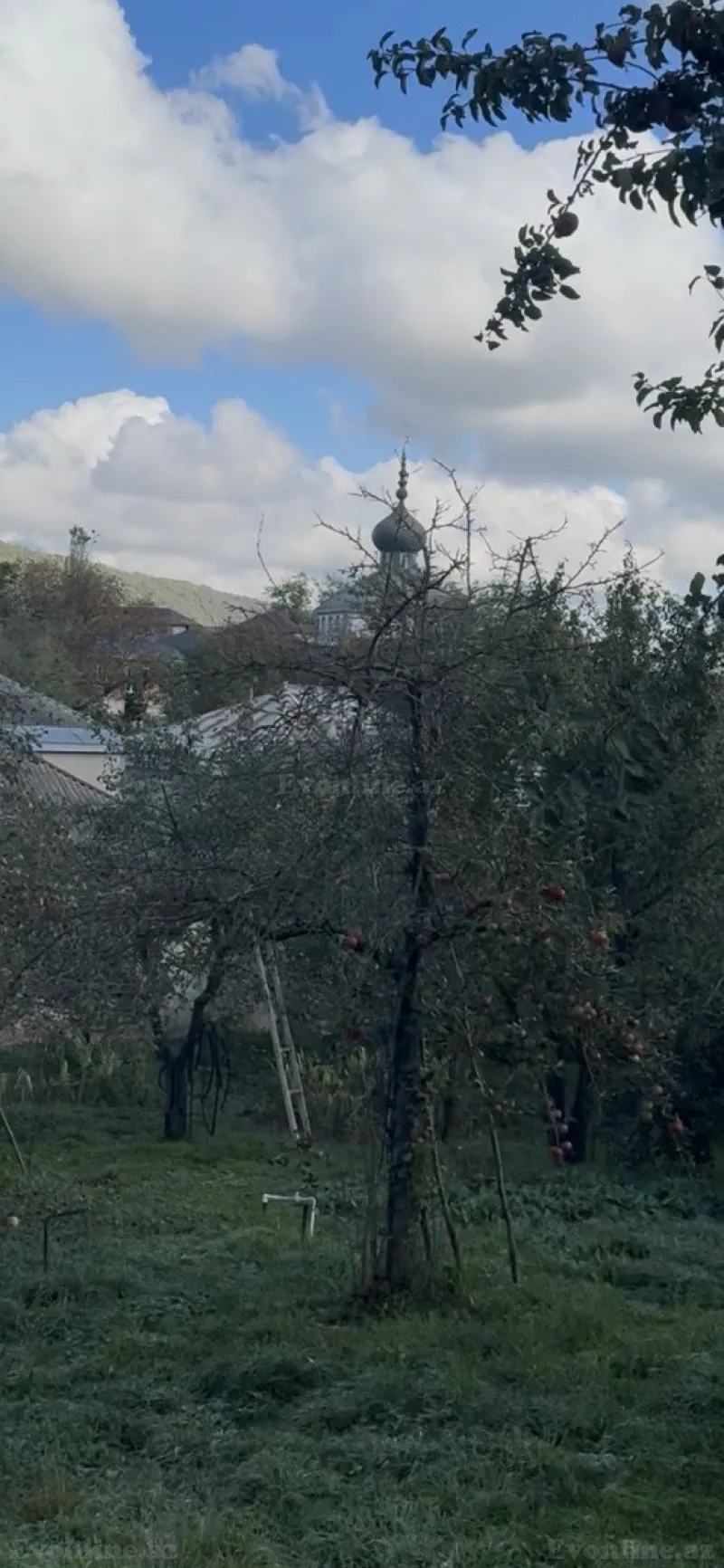Satılır Torpaq 6 sot Quba - şəkil 3