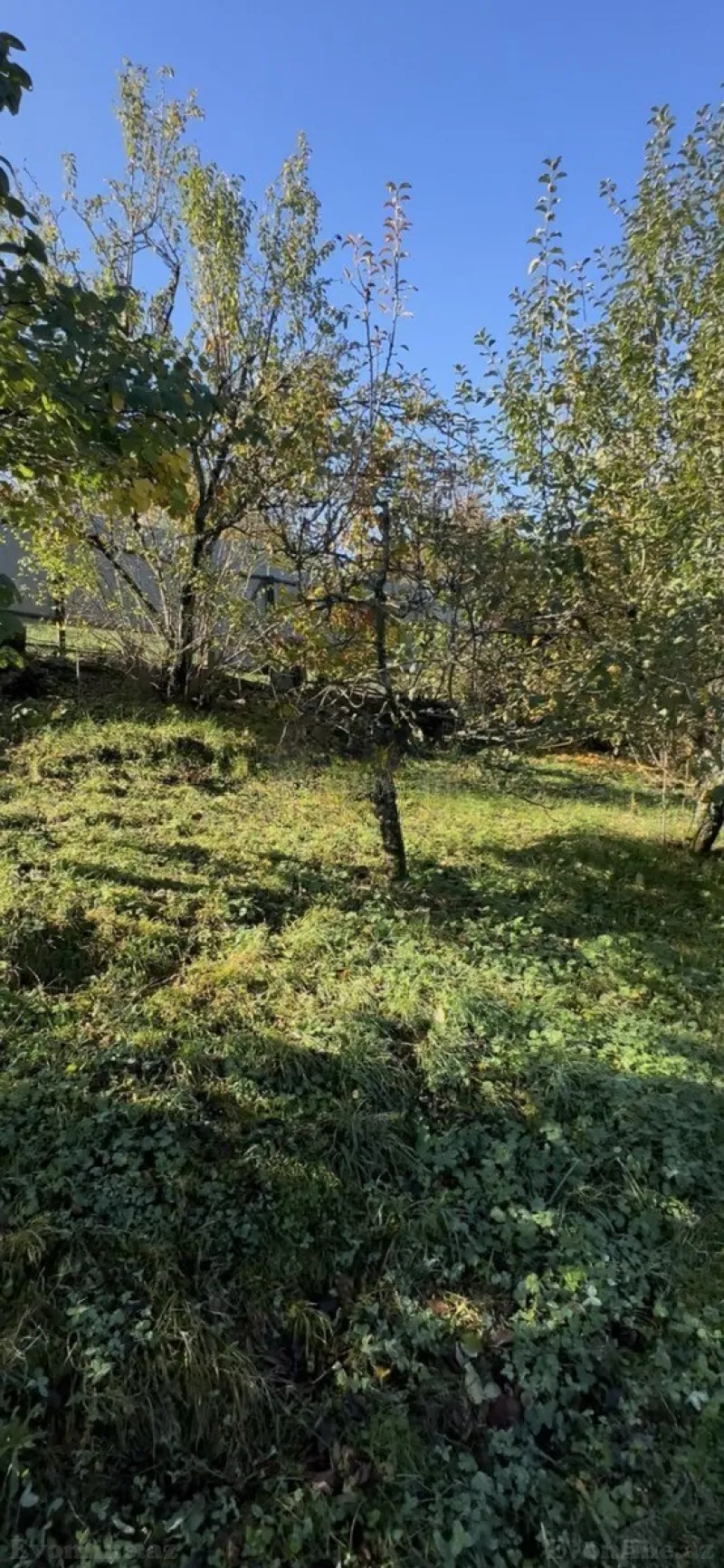 Satılır Torpaq 6 sot Quba - şəkil 4