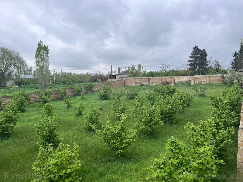Satılır Torpaq 4 sot Xaçmaz - şəkil 2