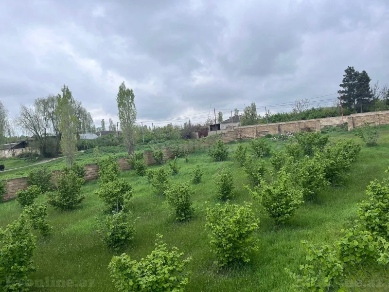 Satılır Torpaq 4 sot Xaçmaz - şəkil 4