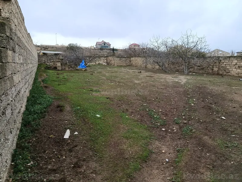 Torpaq Abşeron r. Satılır