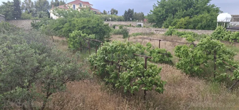 Satılır Torpaq 24 sot Bilgəh