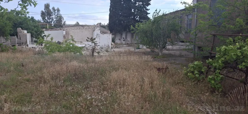 Satılır Torpaq 24 sot Bilgəh - şəkil 3