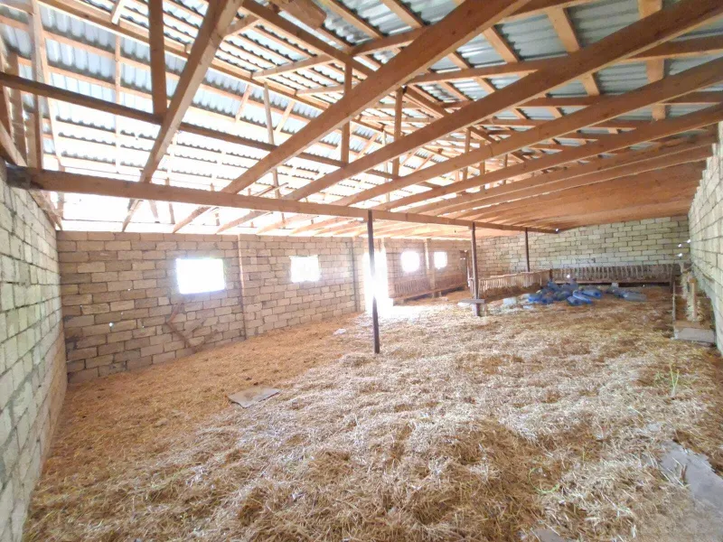 6 otaqlı Həyət evi 600 m² Novxanı Satılır