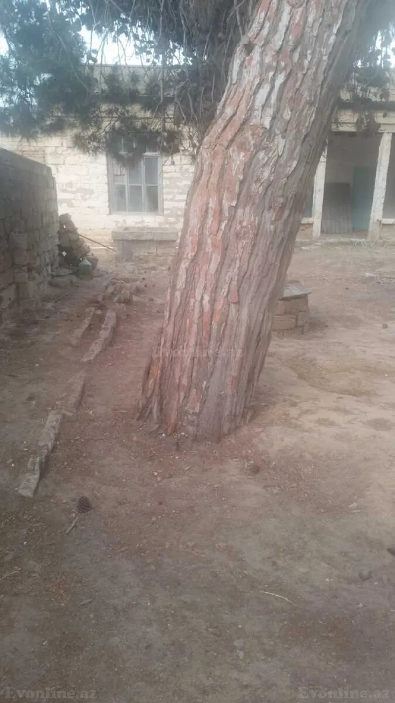 Satılır 4 otaqlı Həyət evi 100 m² Buzovna - şəkil 8