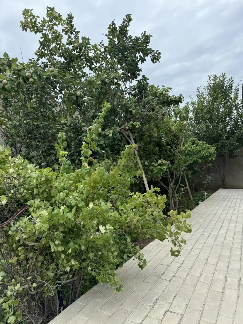 Satılır 6 otaqlı Həyət evi 300 m² Abşeron r. - şəkil 18