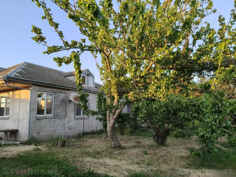 4 otaqlı Həyət evi 130 m² Zabrat Satılır