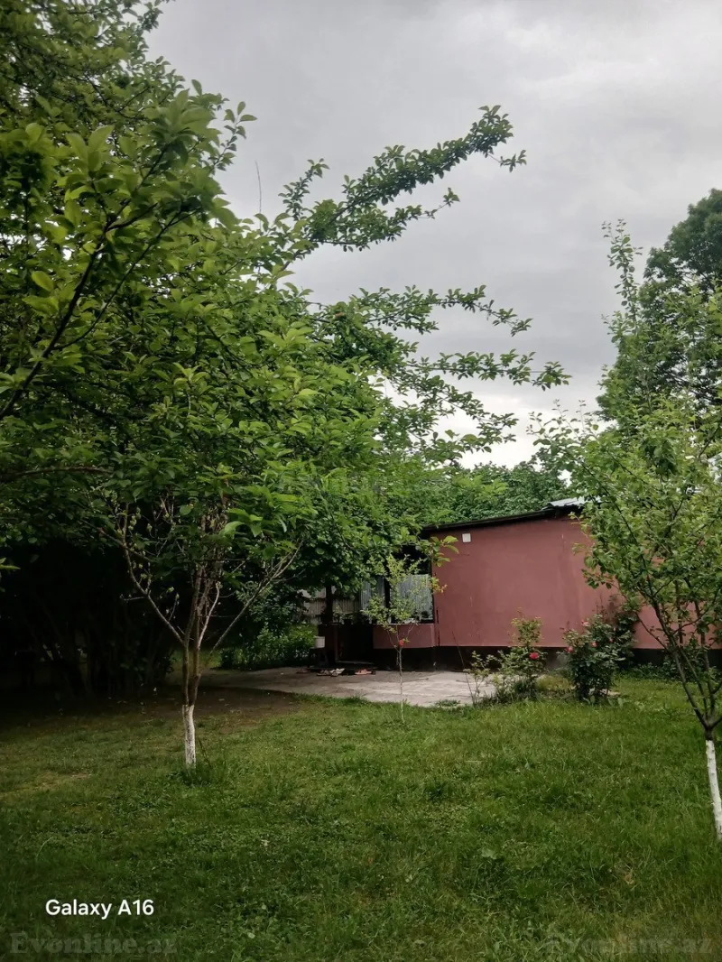 Satılır Torpaq 20 sot Qəbələ - şəkil 13