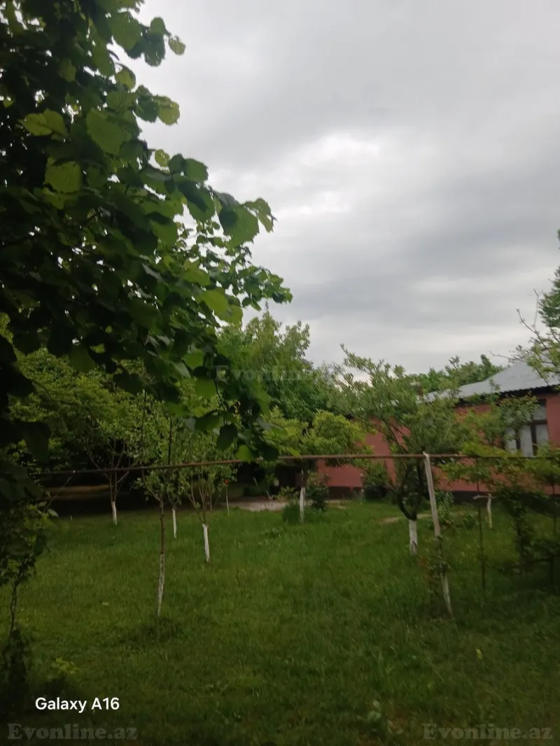 Satılır Torpaq 20 sot Qəbələ - şəkil 19