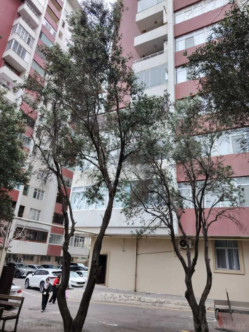 2 otaqlı Mənzil 102 m² Binəqədi r. Satılır