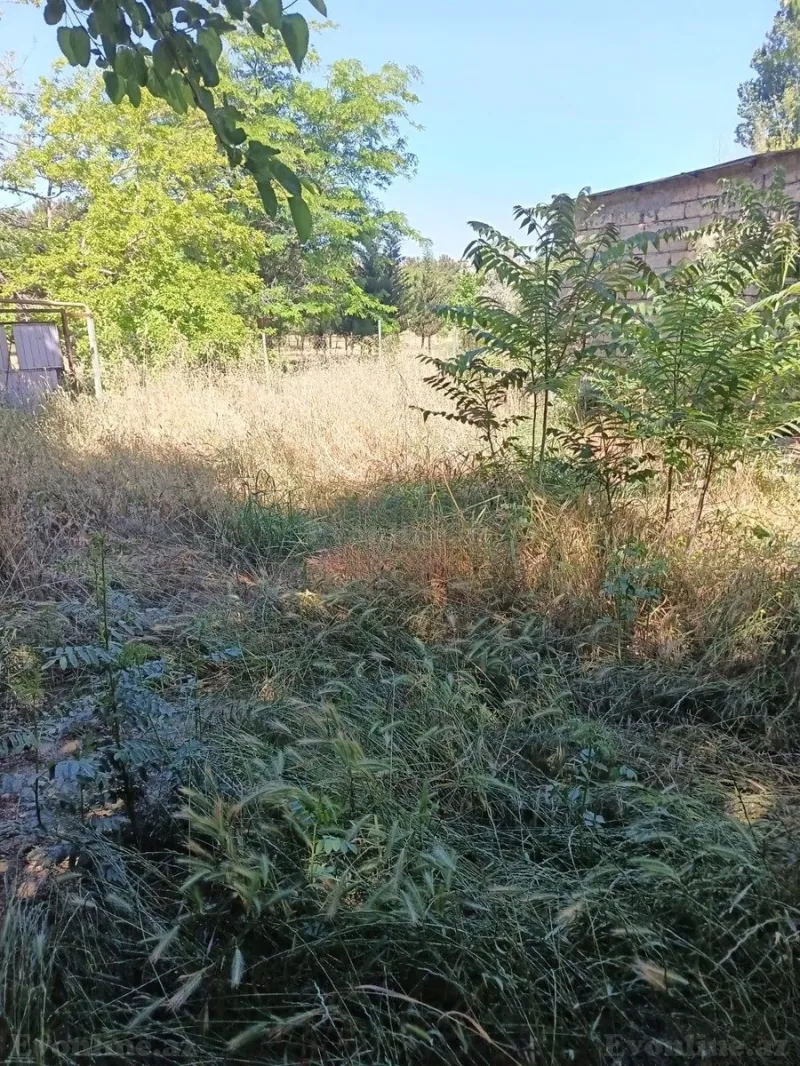Satılır 2 otaqlı Həyət evi 38 m² Nəsimi m. - şəkil 10