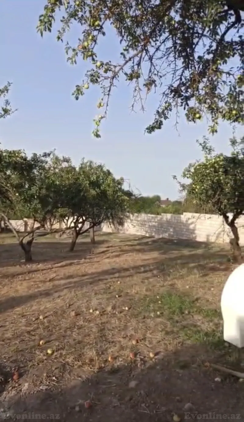 Satılır Torpaq 20 sot Quba - şəkil 4