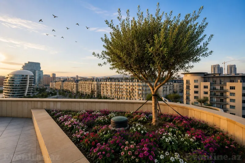 Satılır 8 otaqlı Mənzil Yeni tikili 840 m² Ağ şəhər - şəkil 10